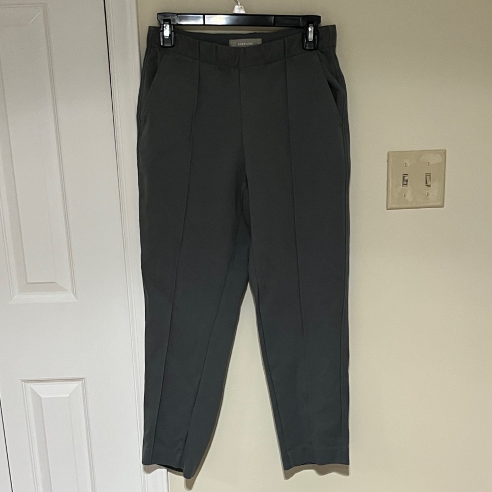 Everlane Olive Green Gray Pleated Pants